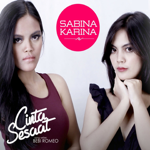 Cinta Sesaat