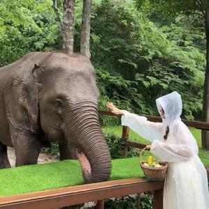 这一生关于你的风景