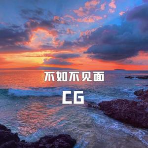 不如不见面（remix）