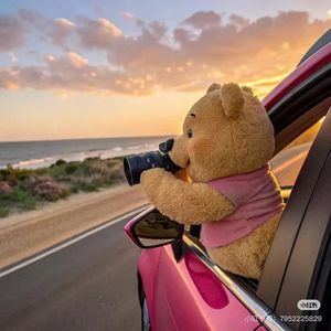 夏日黄昏的海边思绪