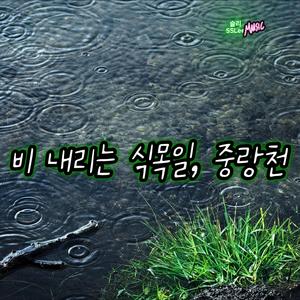 비 내리는 식목일, 중랑천