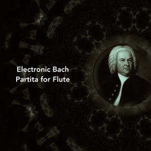 Partita for flute, BWV 1013: III. Sarabande