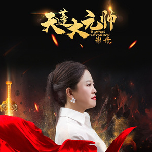 天蓬大元帅 (DJ版)