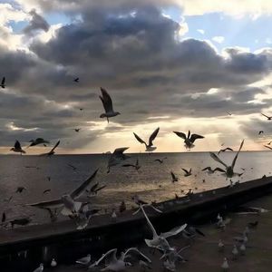 7000Days（Prod NEONMUSIC）