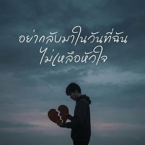 อย่ากลับมาในวันที่ฉันไม่เหลือหัวใจ
