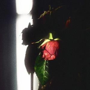 SUMMER IS OVER. (feat. NDM Dresden)