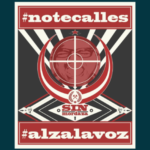 Si Fallo en el Intento