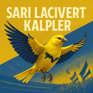 Sarı Lacivert Kalpler - Kalbimizin Ritmi