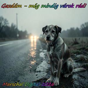 Gazdám még mindig várok rád