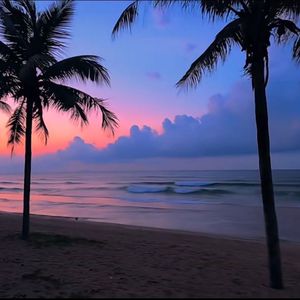 《情人节的甜蜜恋曲》