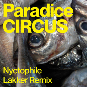 Nyctophile (Lakker Remix)