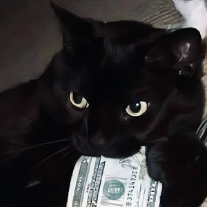 深夜醉了多少回