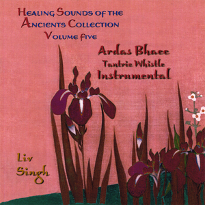 Ardas Bhaee Tantric Whistle (Instrumental)