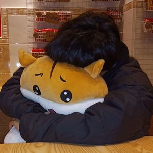 乱编吉他弹唱版目不转睛