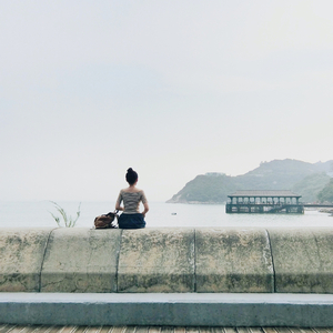 Can't Help Falling In Love With You