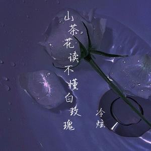 山茶花读不懂白玫瑰