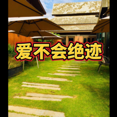 妲己 (舞厅DJ版)