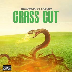 Big swapp Grass Cut (feat. Ft Fatboy)
