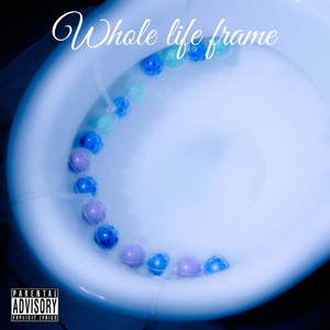 Whole Life Frame