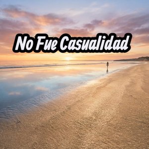 No Fue Casualidad