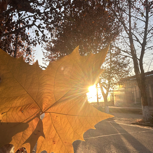 星际迷航电音之曲