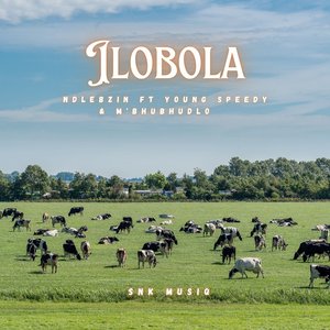 Ilobola