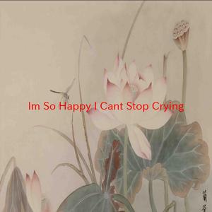 I'm So Happy I Can't Stop Crying (Complete version originally performed by Toby Keith And Sting)