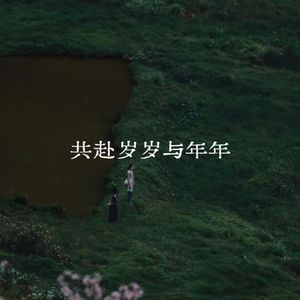 共赴岁岁与年年