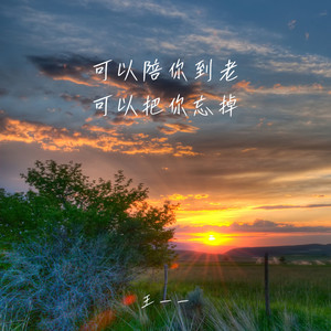 可以陪你到老可以把你忘掉