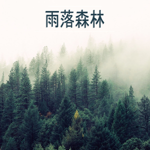 雨落森林,25部