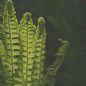 柔和的在家冥想时刻