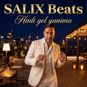 Hadi gel yanima (Radio Edit)