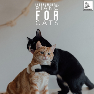 Cat Fall Asleep Music