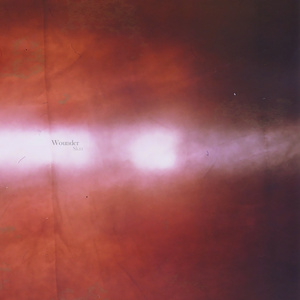 Blood & Valor (Bestial Warlust cover)