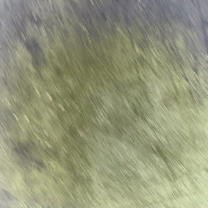 爱你和理智 不会同一时间存在