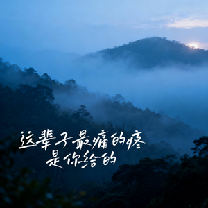 这辈子最痛的疼是你给的