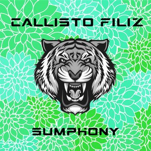 Sumphony (Original mix)
