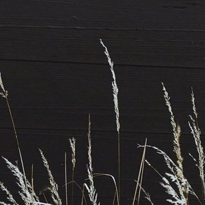 平淡日子里的刺