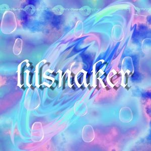 我的美丽（lilsnaker remix）