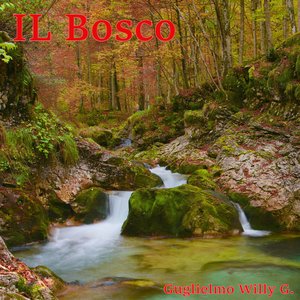 L'albero risorto
