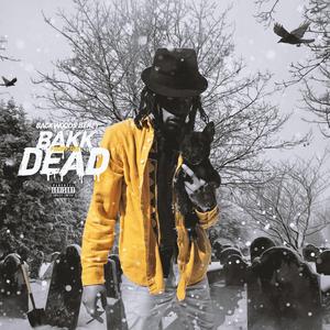 YBN (feat. SkyWalka Harp)