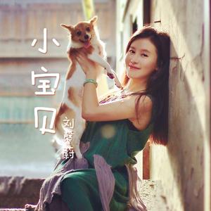 小宝贝 (伴奏)