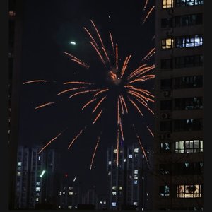 既然选择了坚强