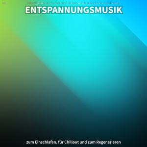 Beflügelnde Wahrnehmungen