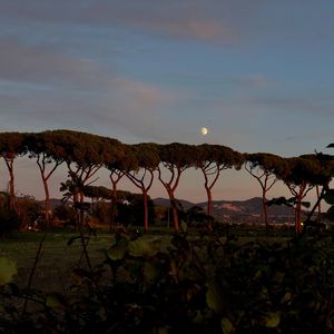 愛与晴（prodSiren）