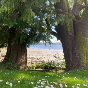 Differances (sepd up)