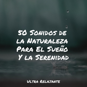 Profundamente Soñando