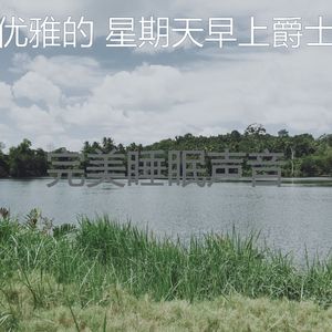 温和周末梦想