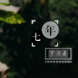 锦鲤