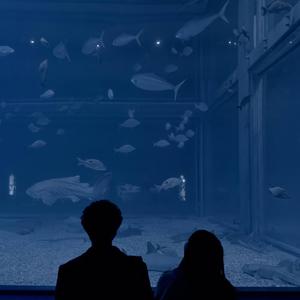 你的大表哥曲甲-沉醉的青丝（李晓贵 remix）